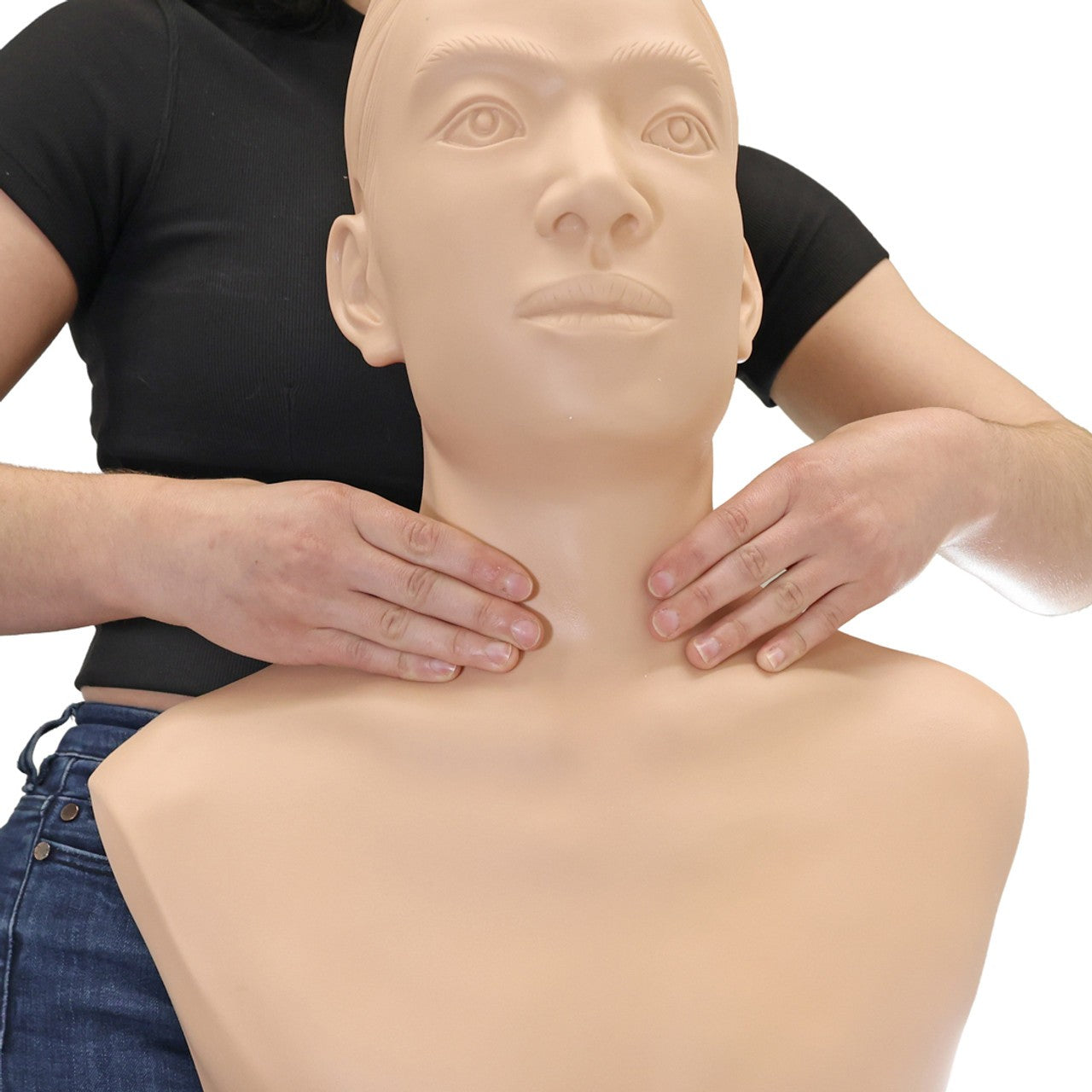 The Anatomy Lab-A-106776 Thyroid Gland Examination Simulator, 1/ea