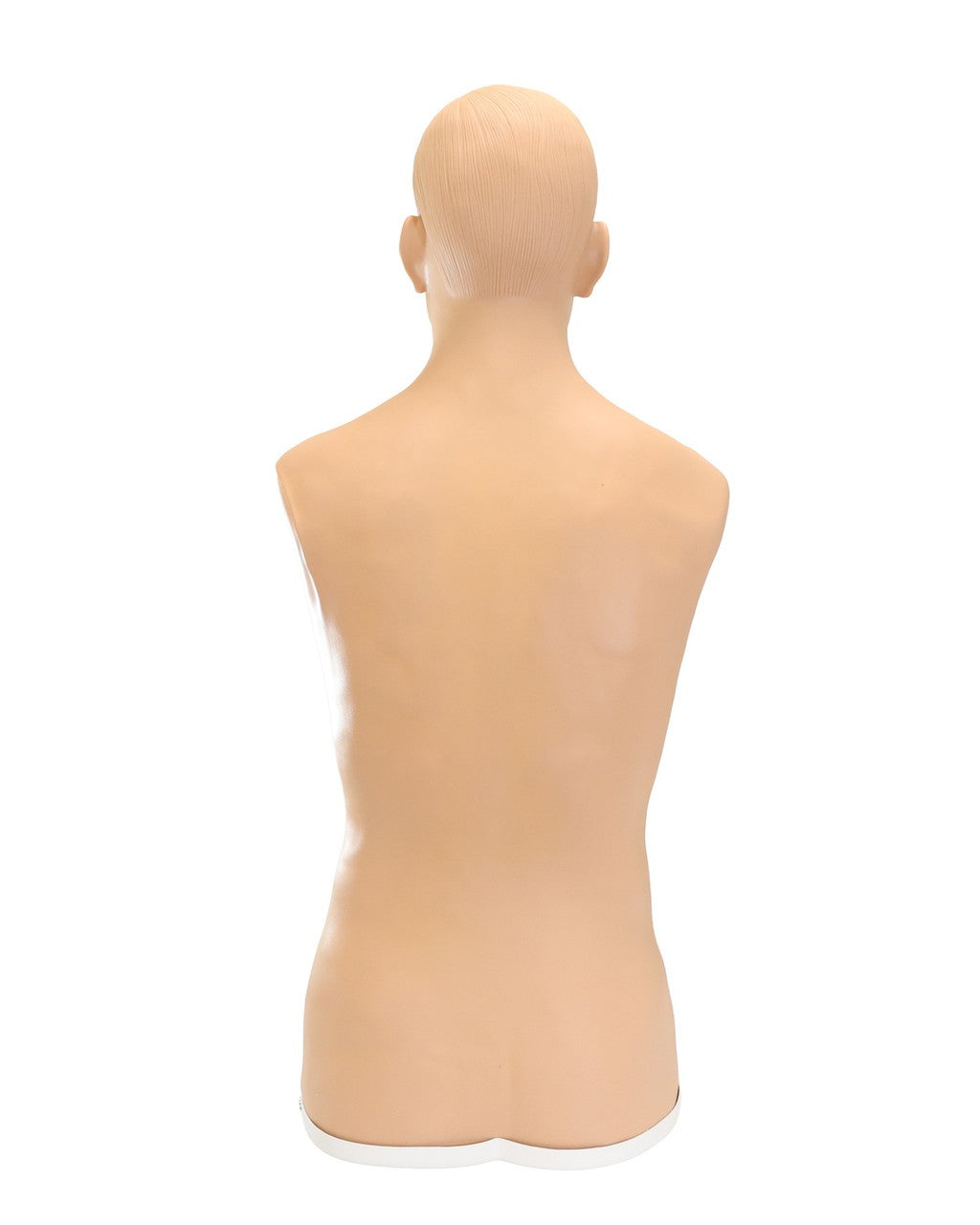 The Anatomy Lab-A-106776 Thyroid Gland Examination Simulator, 1/ea