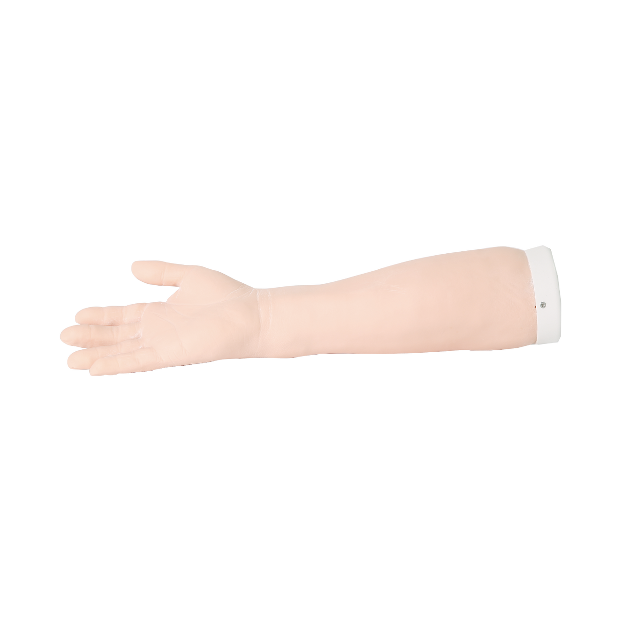 The Anatomy Lab-A-106784 Wrist Joint Injection Model
