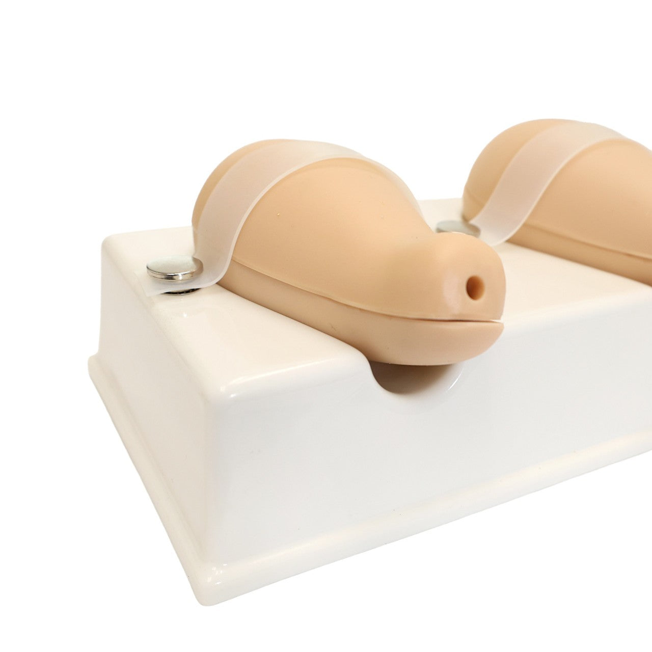 The Anatomy Lab-A-106808 Dilatation and Curettage Model, 1/ea