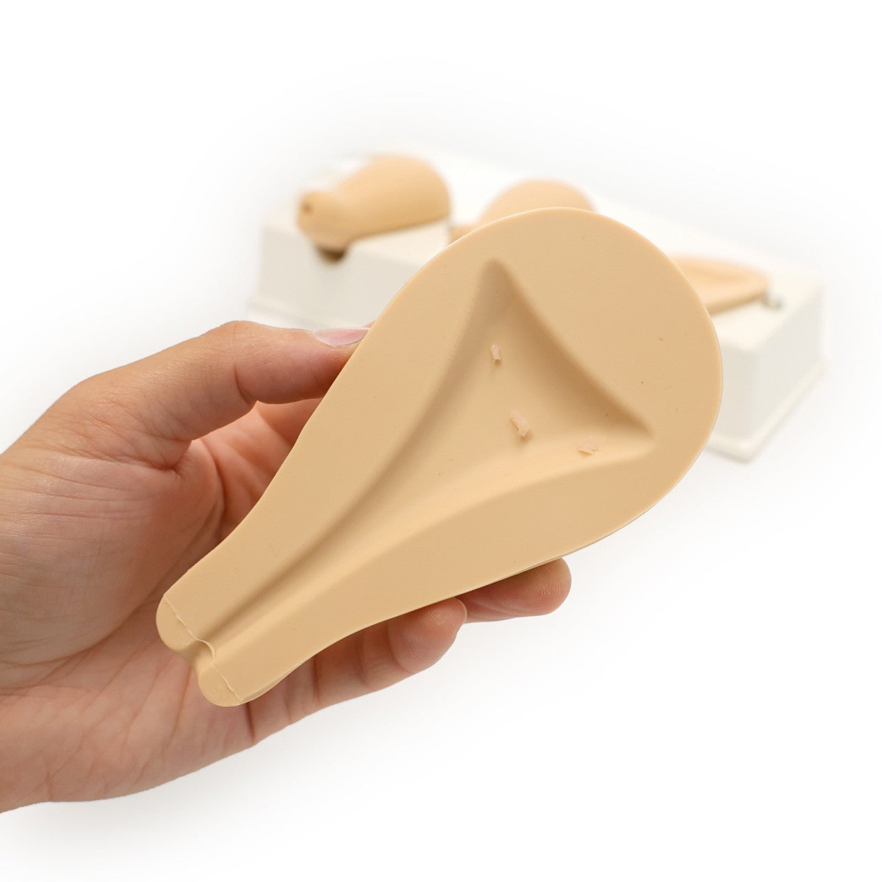 The Anatomy Lab-A-106808 Dilatation and Curettage Model, 1/ea