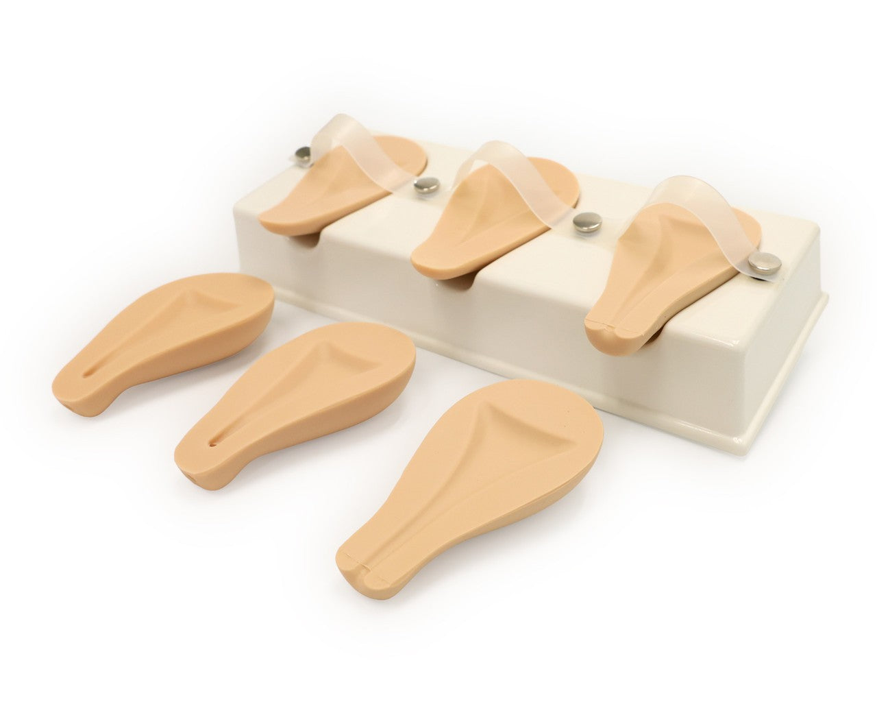 The Anatomy Lab-A-106808 Dilatation and Curettage Model, 1/ea