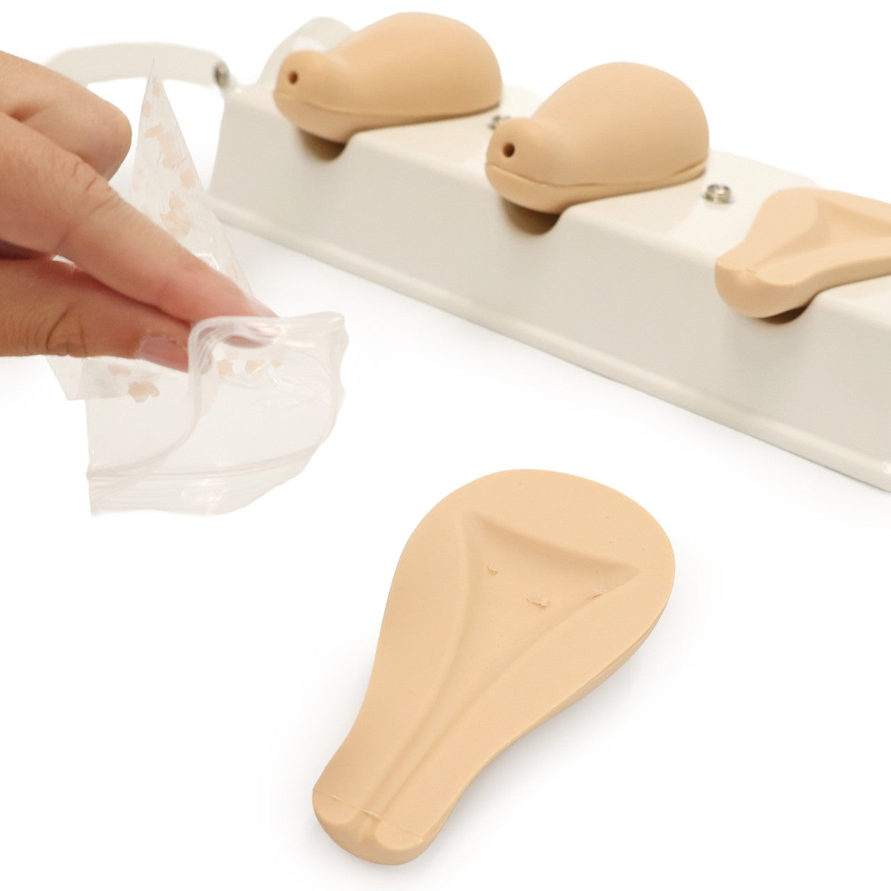 The Anatomy Lab-A-106808 Dilatation and Curettage Model, 1/ea