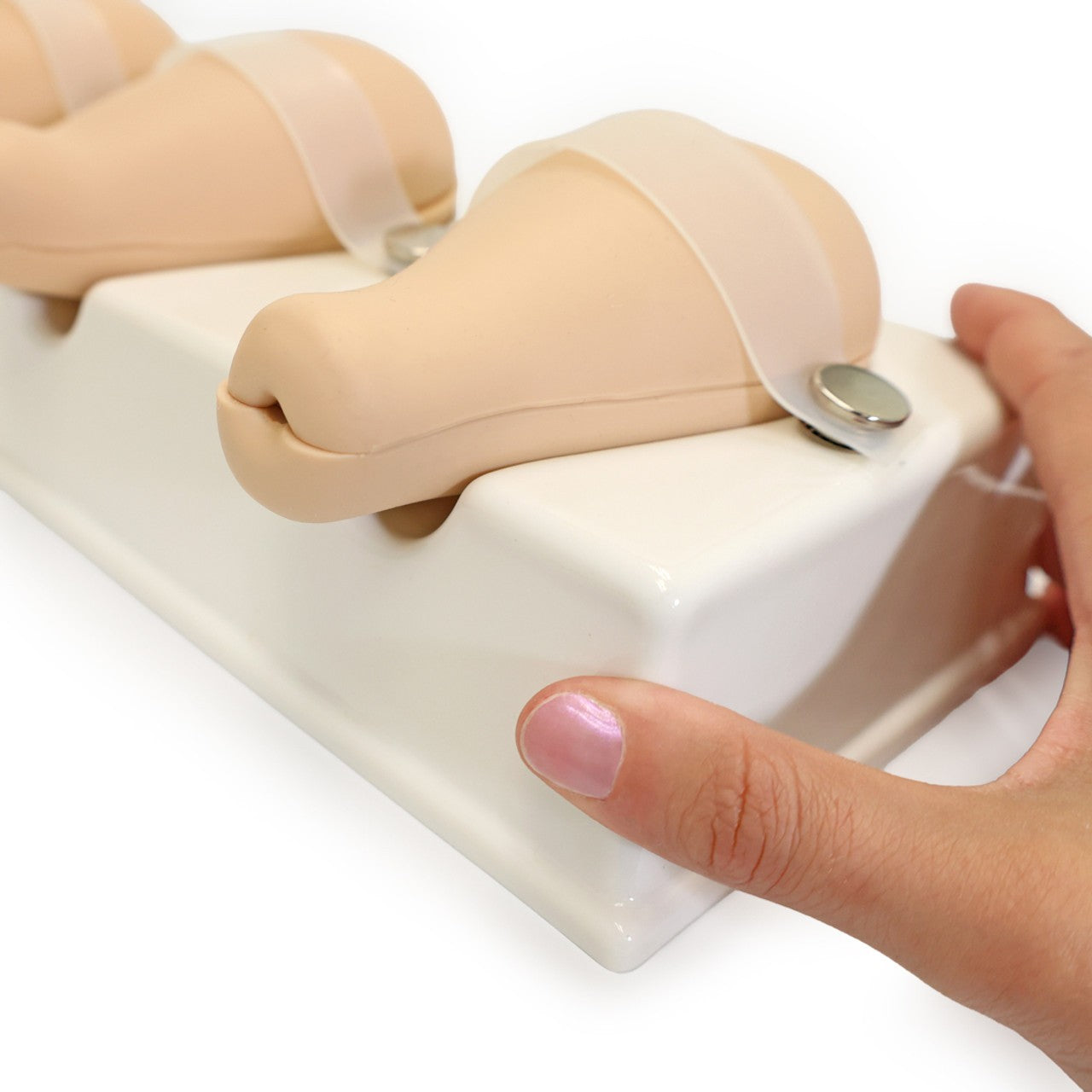 The Anatomy Lab-A-106808 Dilatation and Curettage Model, 1/ea