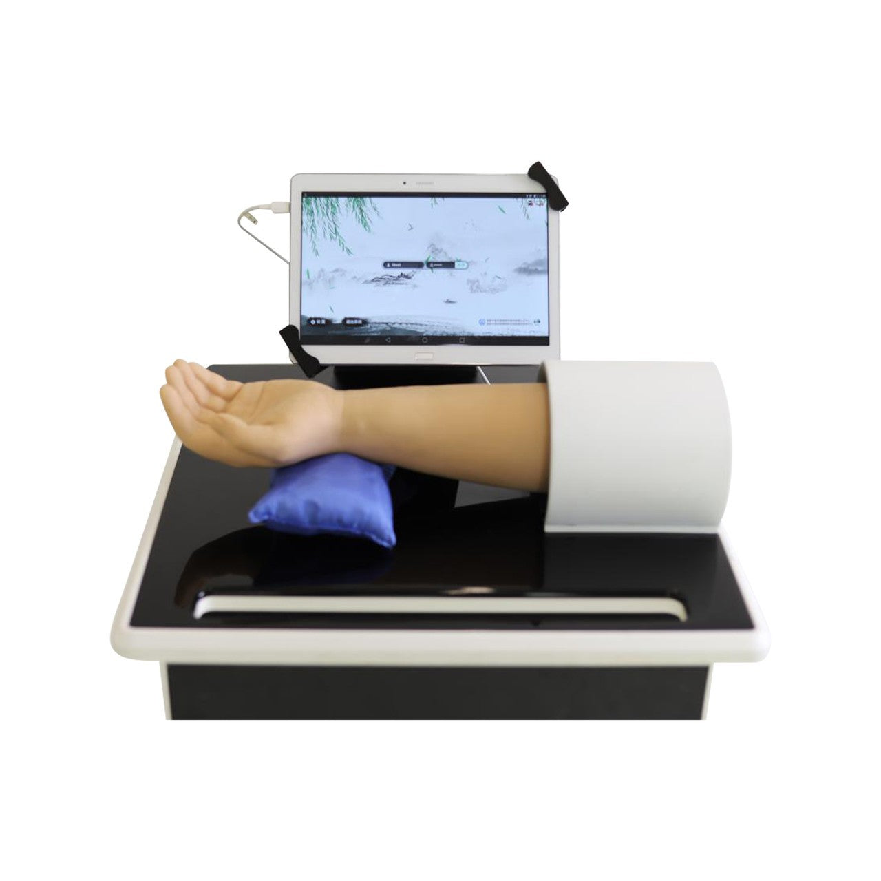 The Anatomy Lab-A-106820 Pulse Training Simulator, 1/ea