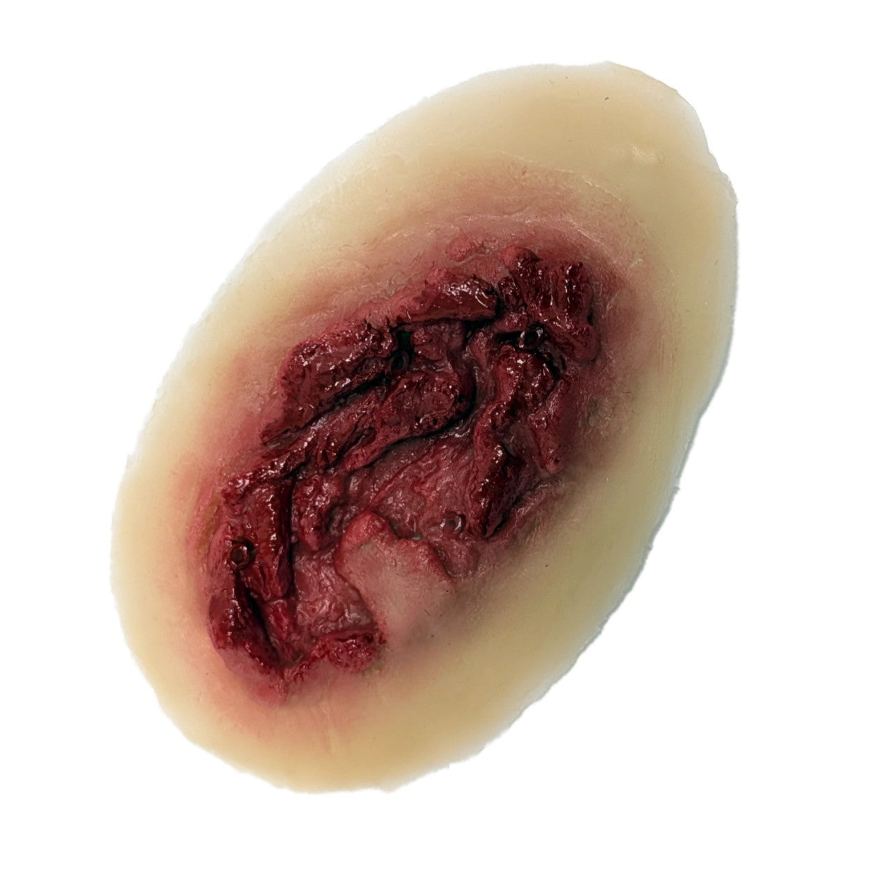 Anatomy Lab Moulage Models