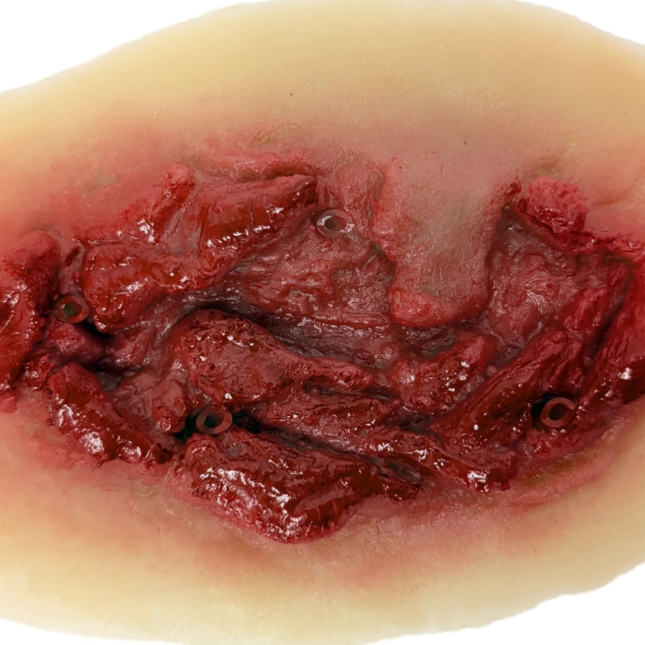 Anatomy Lab Moulage Models