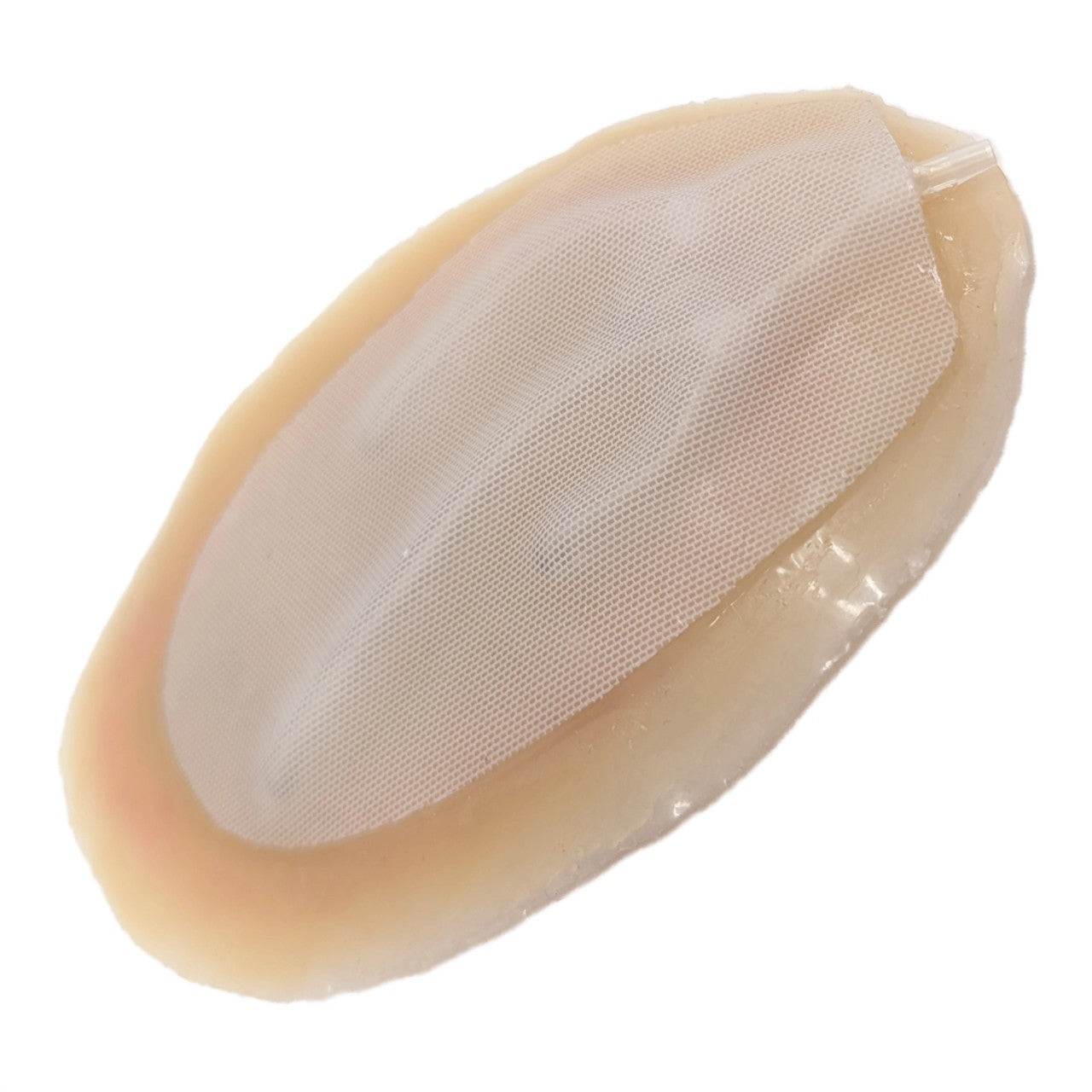 Anatomy Lab Moulage Models