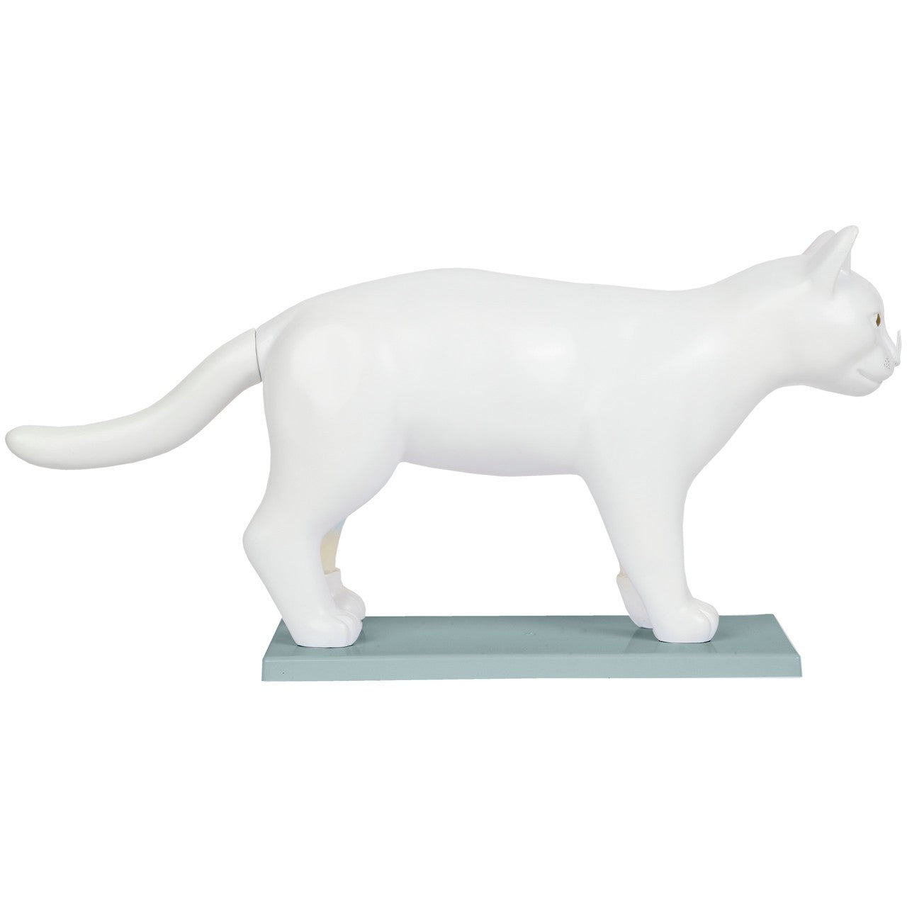 Anatomy Lab Animals Model