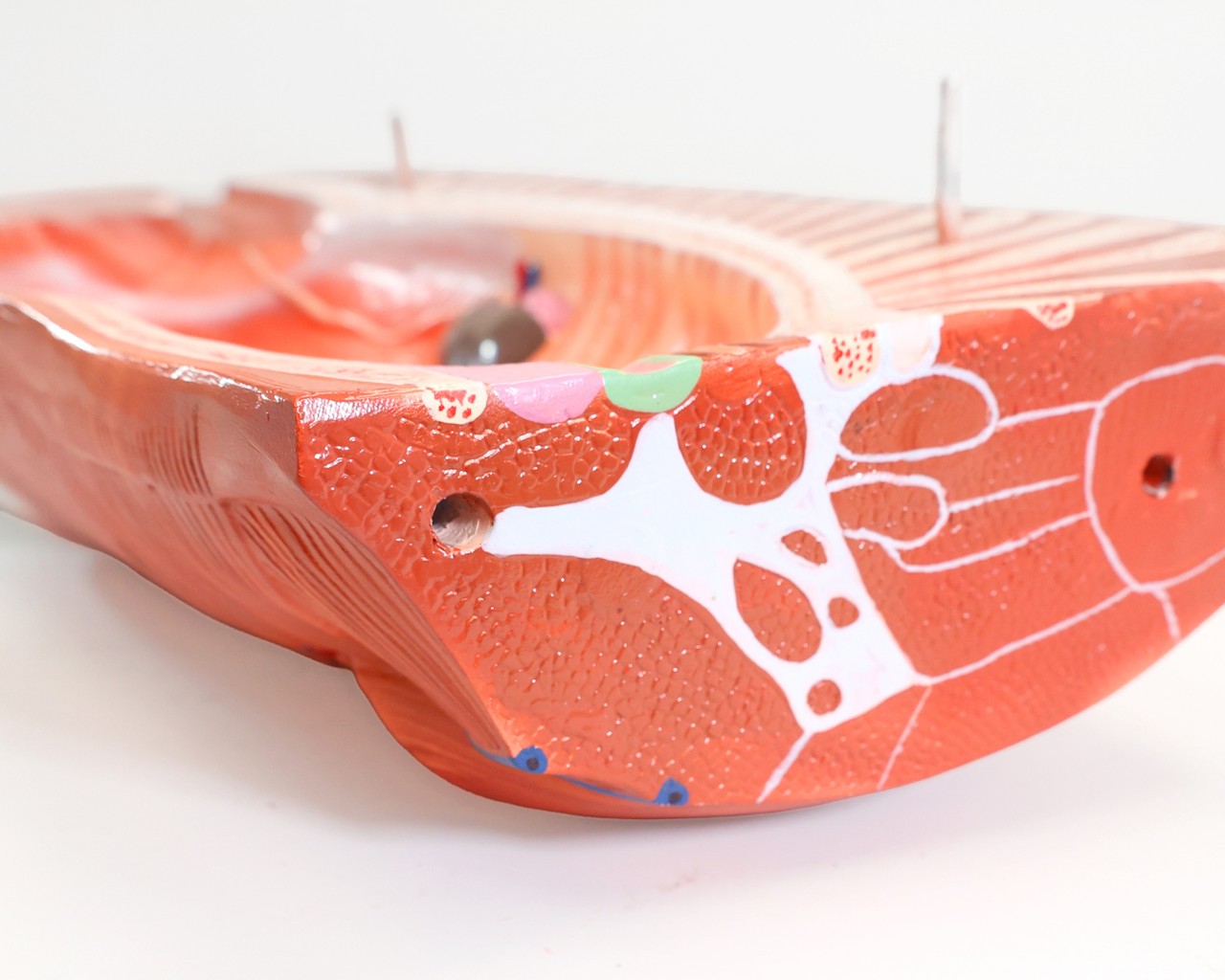 Anatomy Lab Animals Model