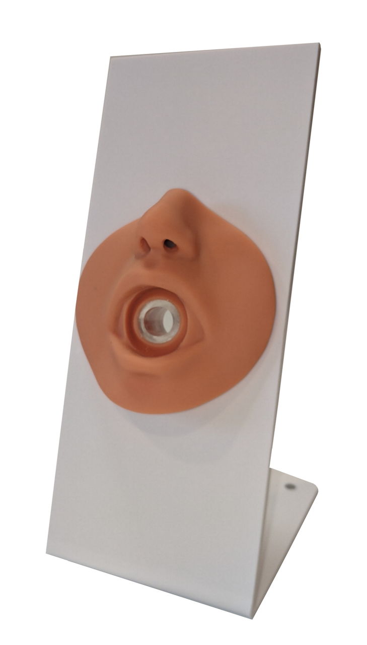 The Anatomy Lab-A-109214 Nasogastric Tube and Oxygenation Trainer with Stand