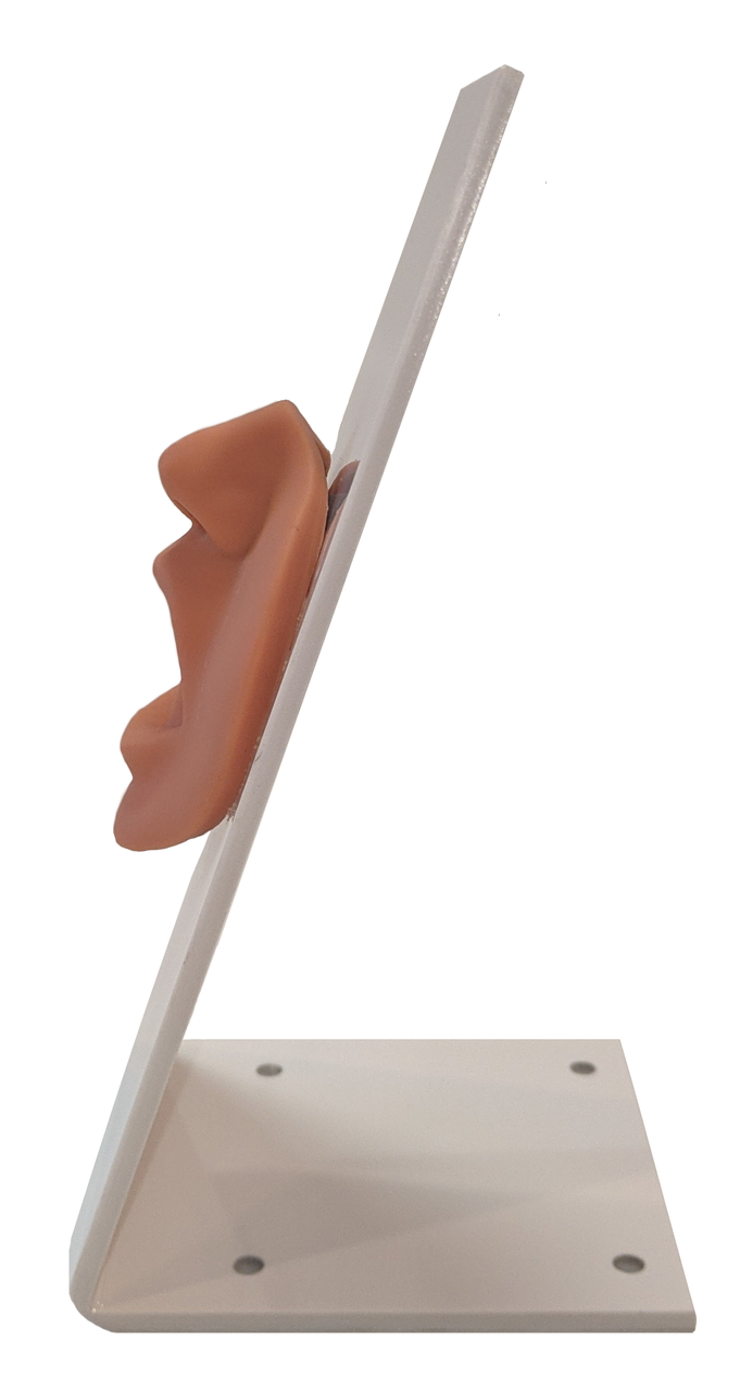 The Anatomy Lab-A-109214 Nasogastric Tube and Oxygenation Trainer with Stand