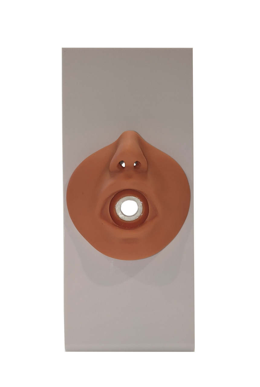 The Anatomy Lab-A-109213 Portable Nursing Simulation Kit