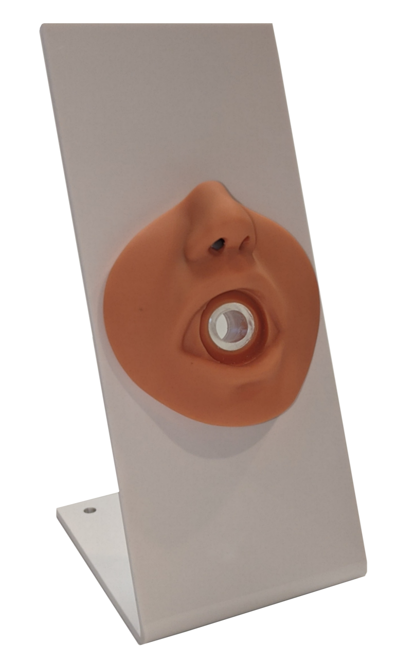 The Anatomy Lab-A-109214 Nasogastric Tube and Oxygenation Trainer with Stand