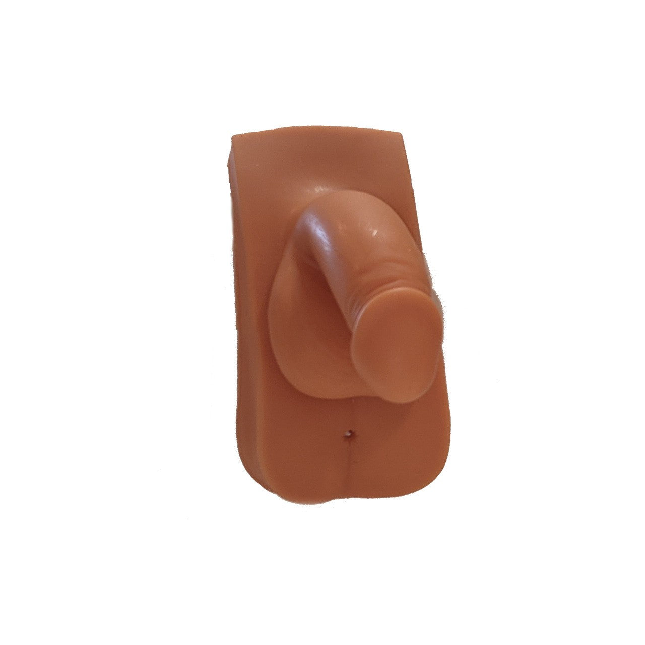 The Anatomy Lab-A-109215 Male Urinary Catheterization and Enema Trainer