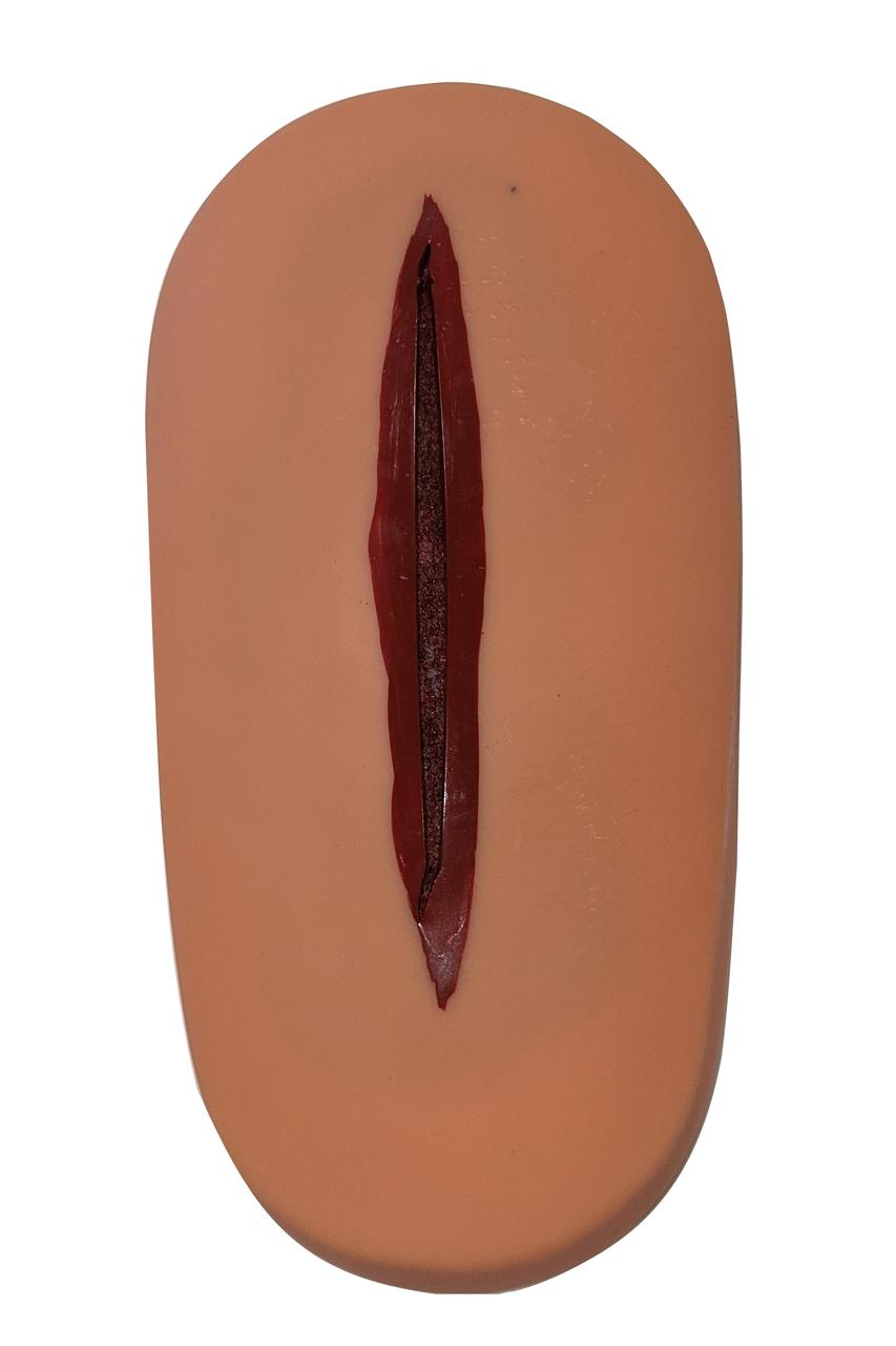 The Anatomy Lab-A-109213 Portable Nursing Simulation Kit