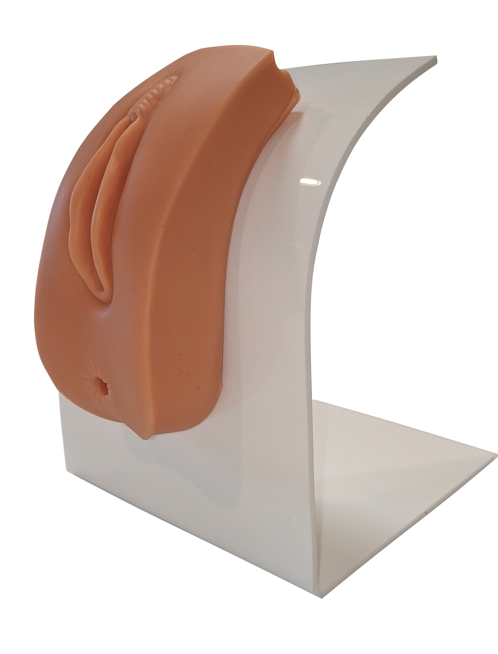 The Anatomy Lab-A-109213 Portable Nursing Simulation Kit