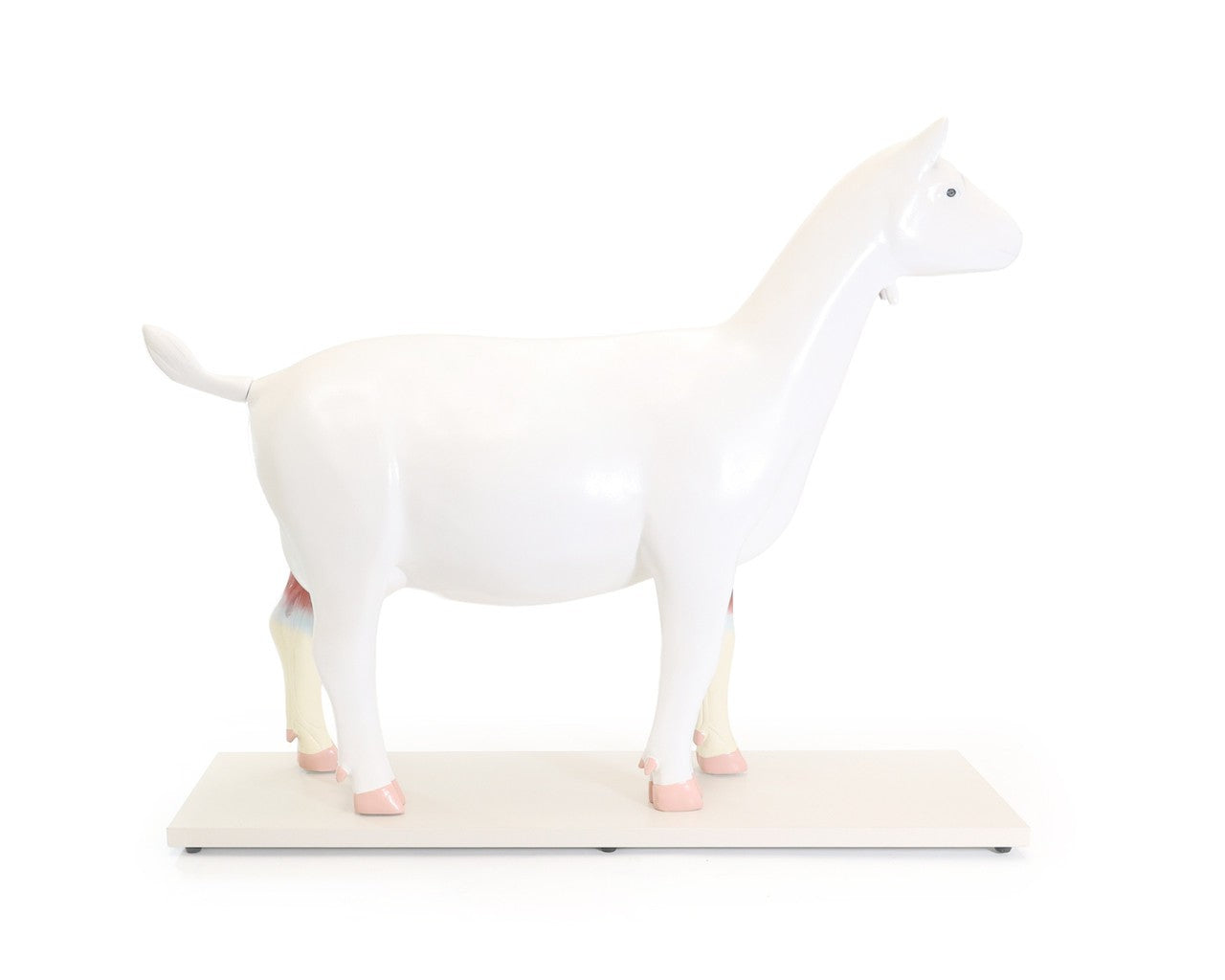 The Anatomy Lab-A-111575 Domestic Goat (Capra hircus) Anatomy Model, 1/Each