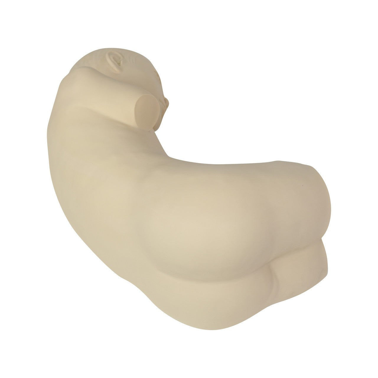 The Anatomy Lab-A-112546 Paediatric Lumbar Puncture Simulator, 1/ea