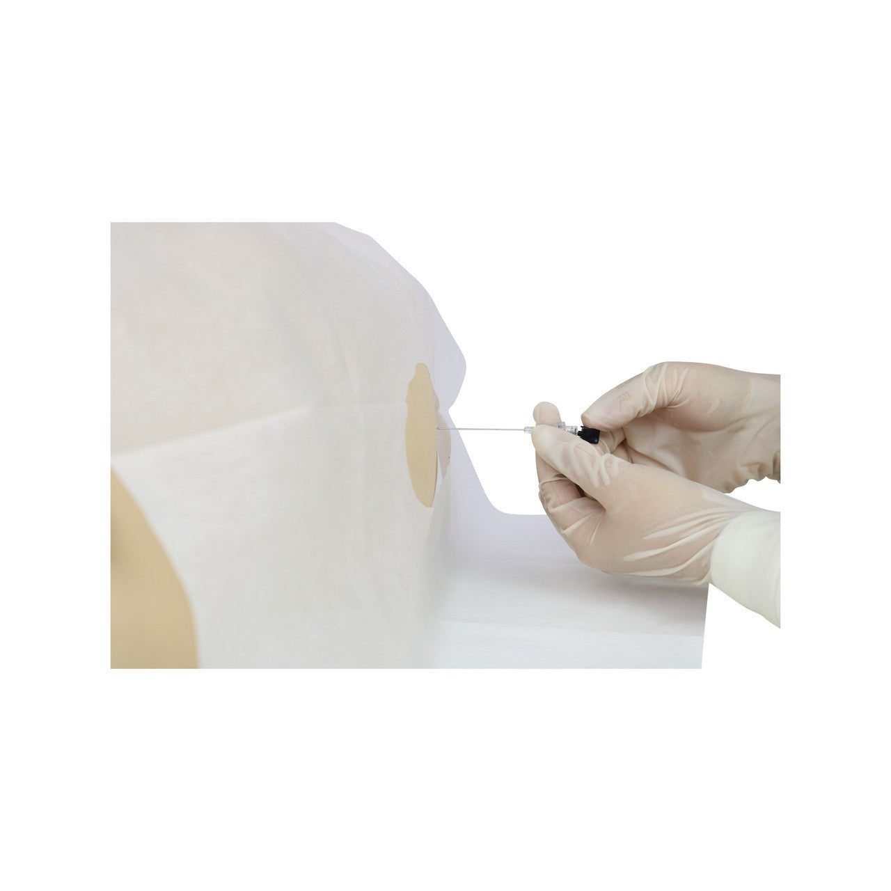 The Anatomy Lab-A-112546 Paediatric Lumbar Puncture Simulator, 1/ea