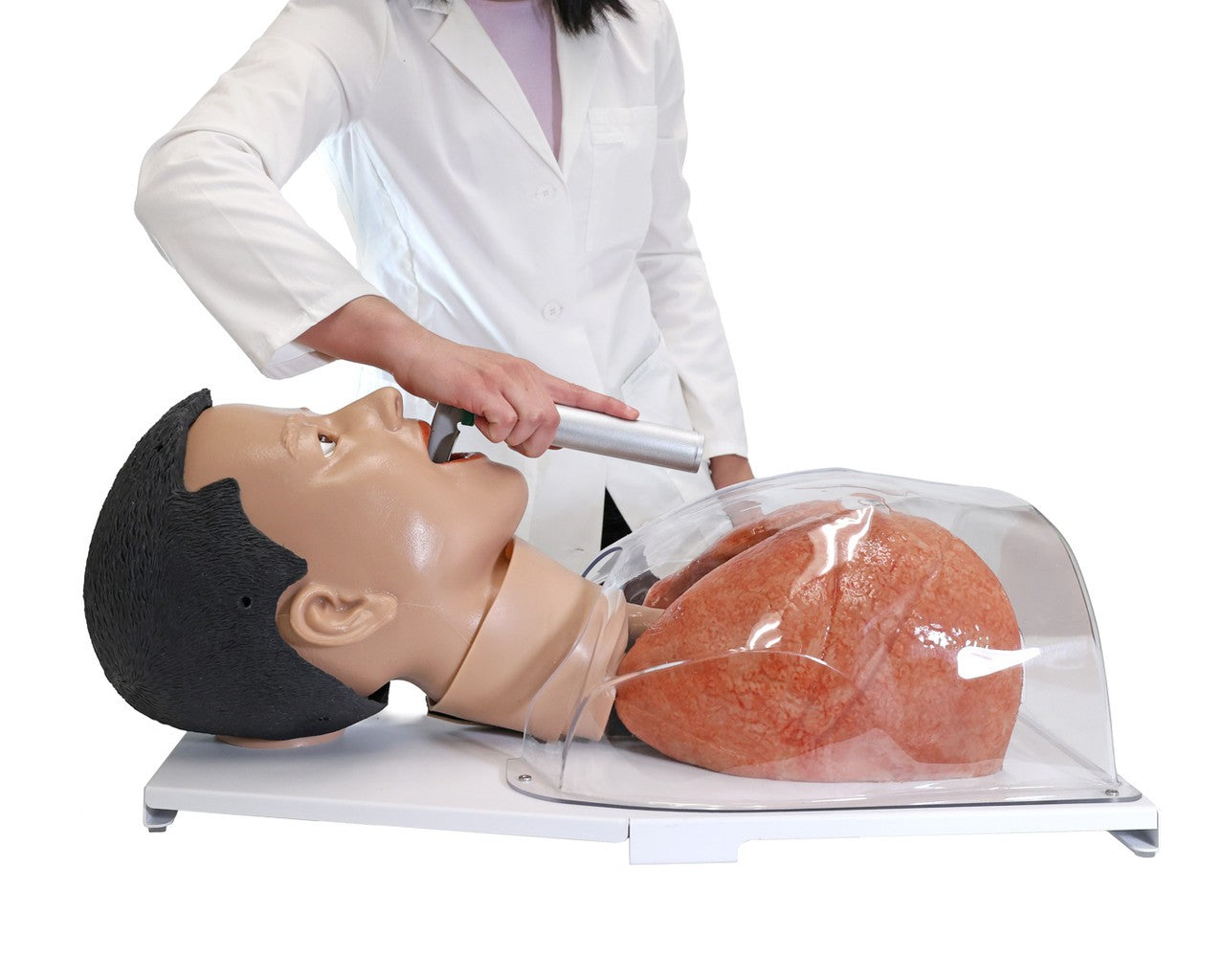 The Anatomy Lab-A-112548 Simulated Bronchoscopy Model, 1/EACH