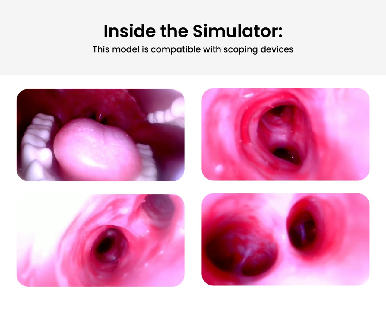 The Anatomy Lab-A-112548 Simulated Bronchoscopy Model, 1/EACH