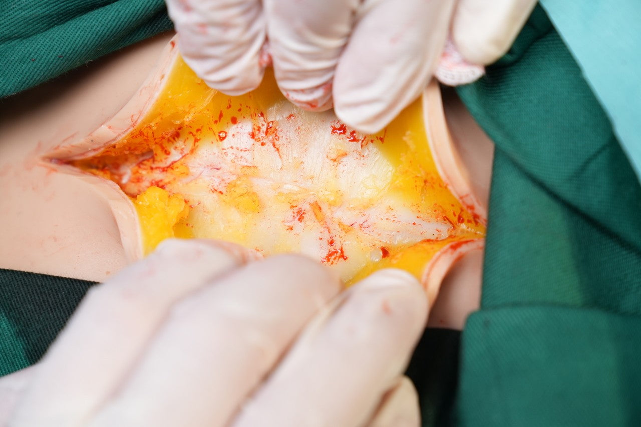 The Anatomy Lab-A-112549 Wearable C-Section Simulator, 1/ea