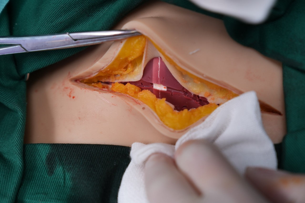 The Anatomy Lab-A-112549 Wearable C-Section Simulator, 1/ea