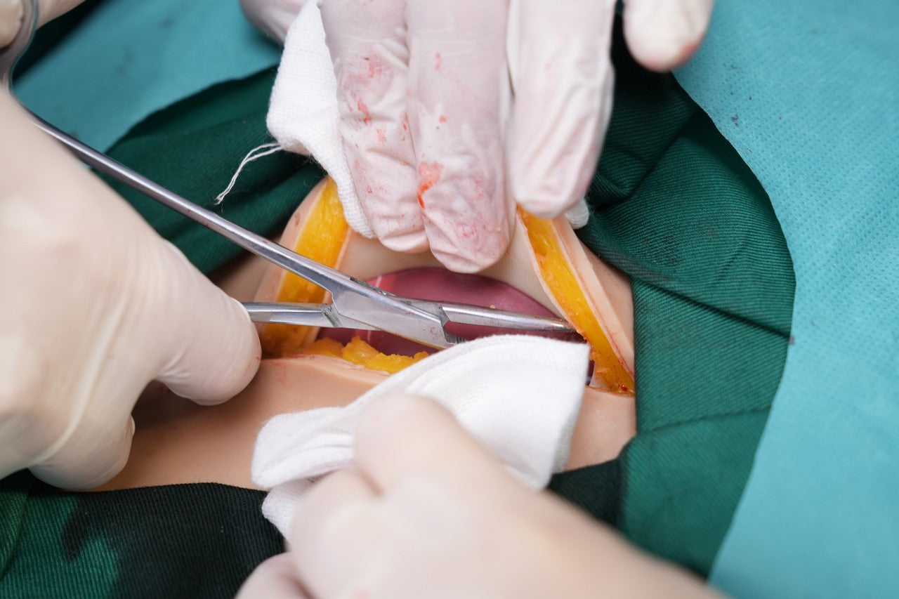 The Anatomy Lab-A-112549 Wearable C-Section Simulator, 1/ea