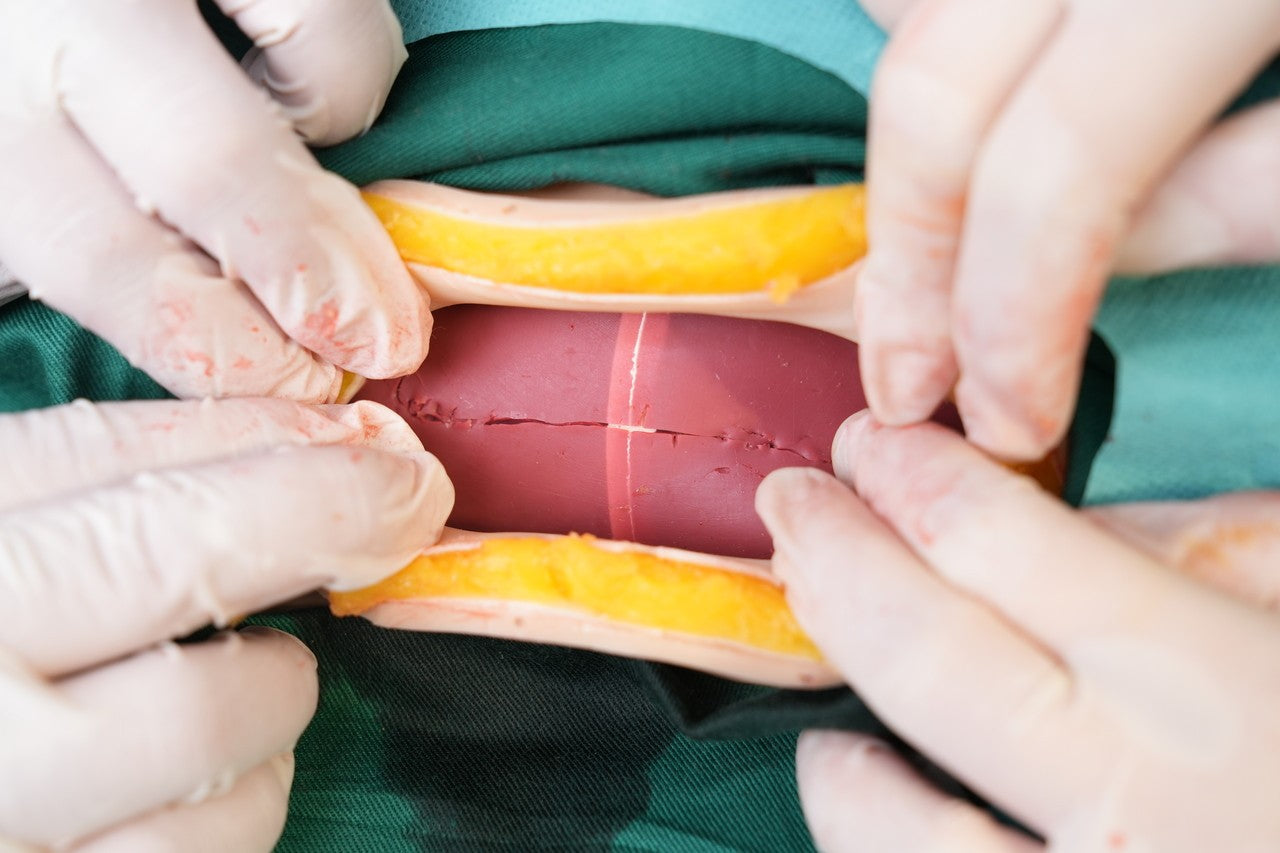 The Anatomy Lab-A-112549 Wearable C-Section Simulator, 1/ea