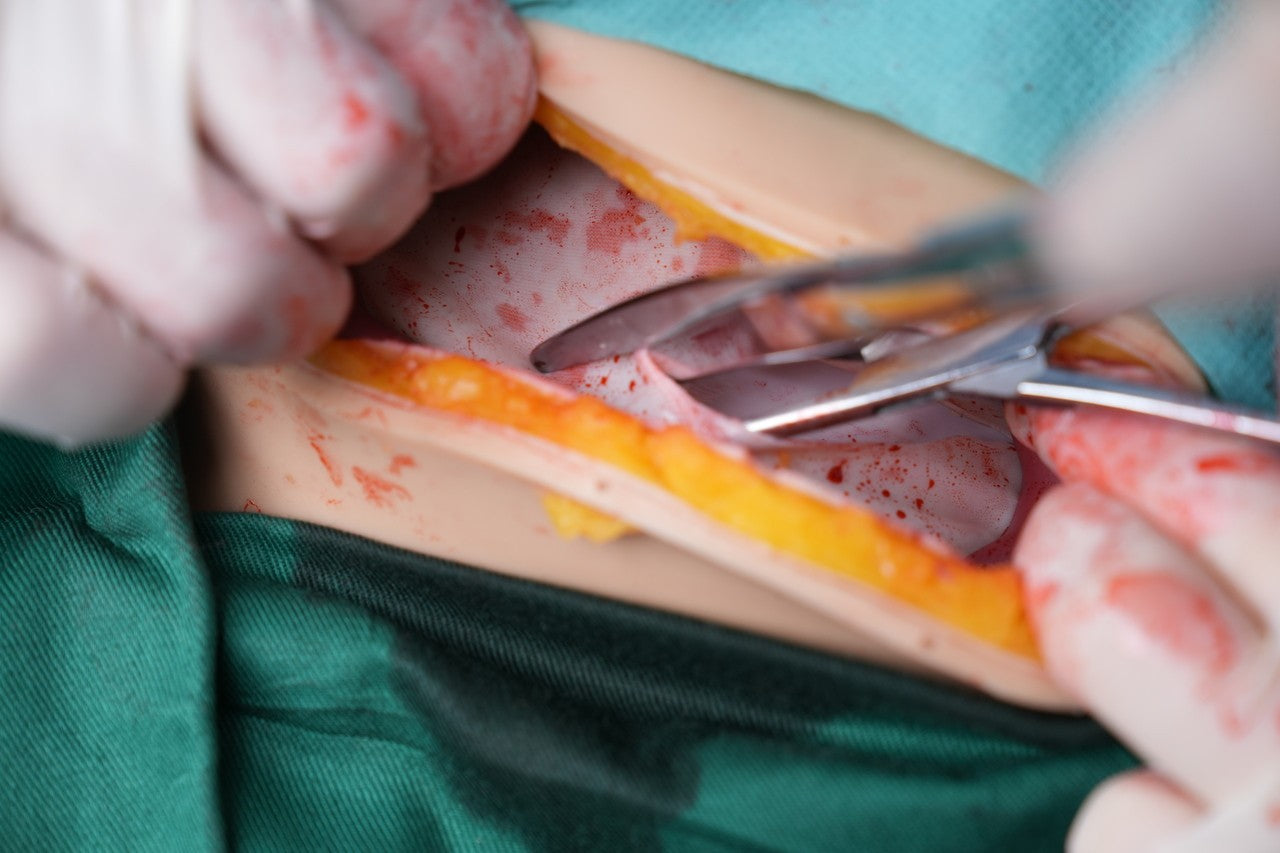 The Anatomy Lab-A-112549 Wearable C-Section Simulator, 1/ea