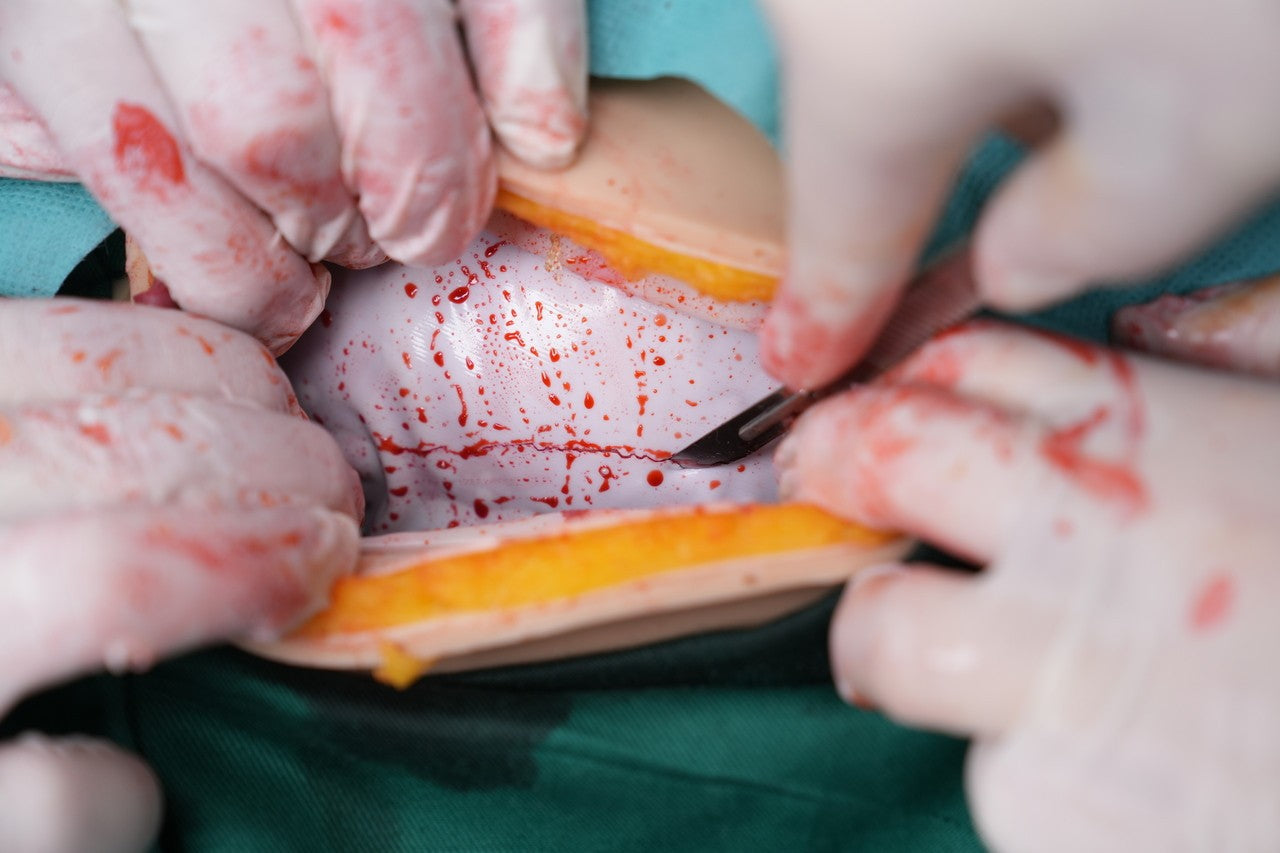 The Anatomy Lab-A-112549 Wearable C-Section Simulator, 1/ea