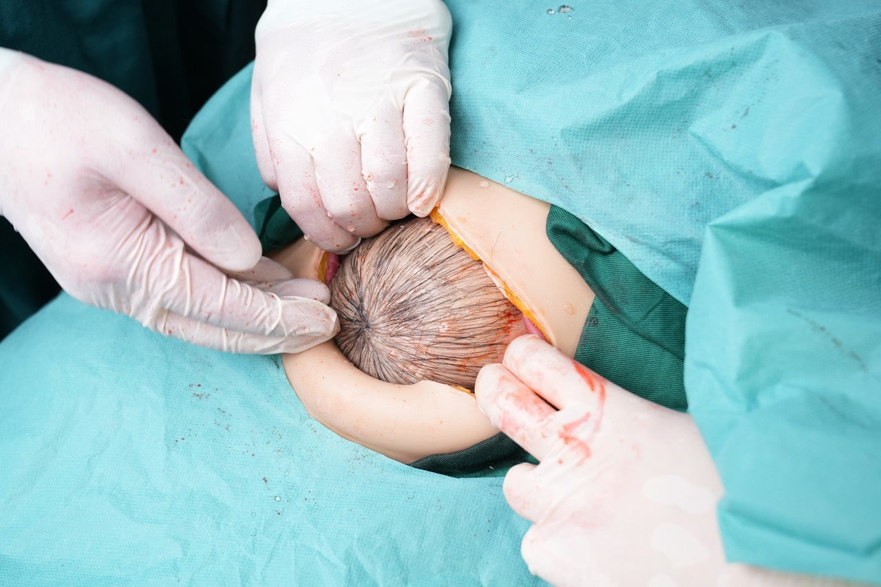 The Anatomy Lab-A-112549 Wearable C-Section Simulator, 1/ea