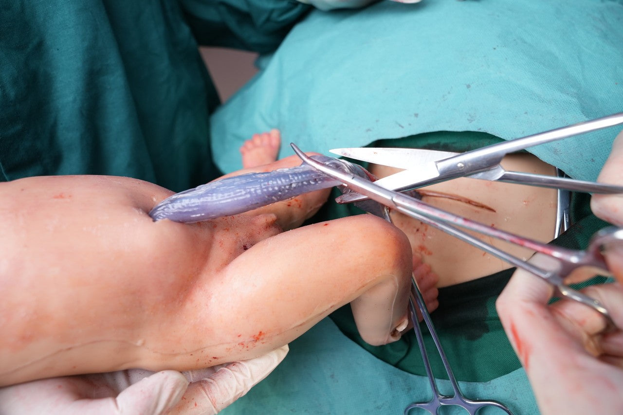 The Anatomy Lab-A-112549 Wearable C-Section Simulator, 1/ea