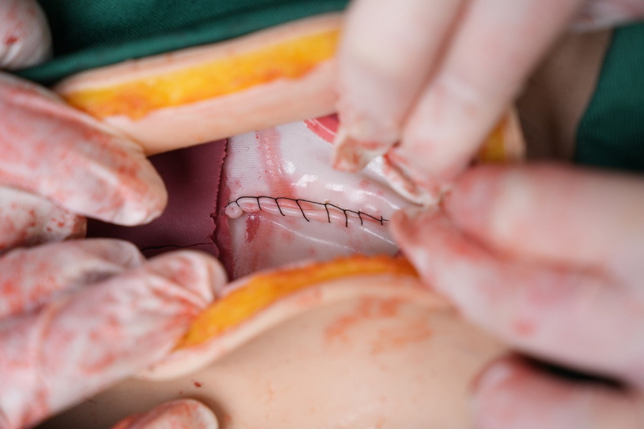 The Anatomy Lab-A-112549 Wearable C-Section Simulator, 1/ea