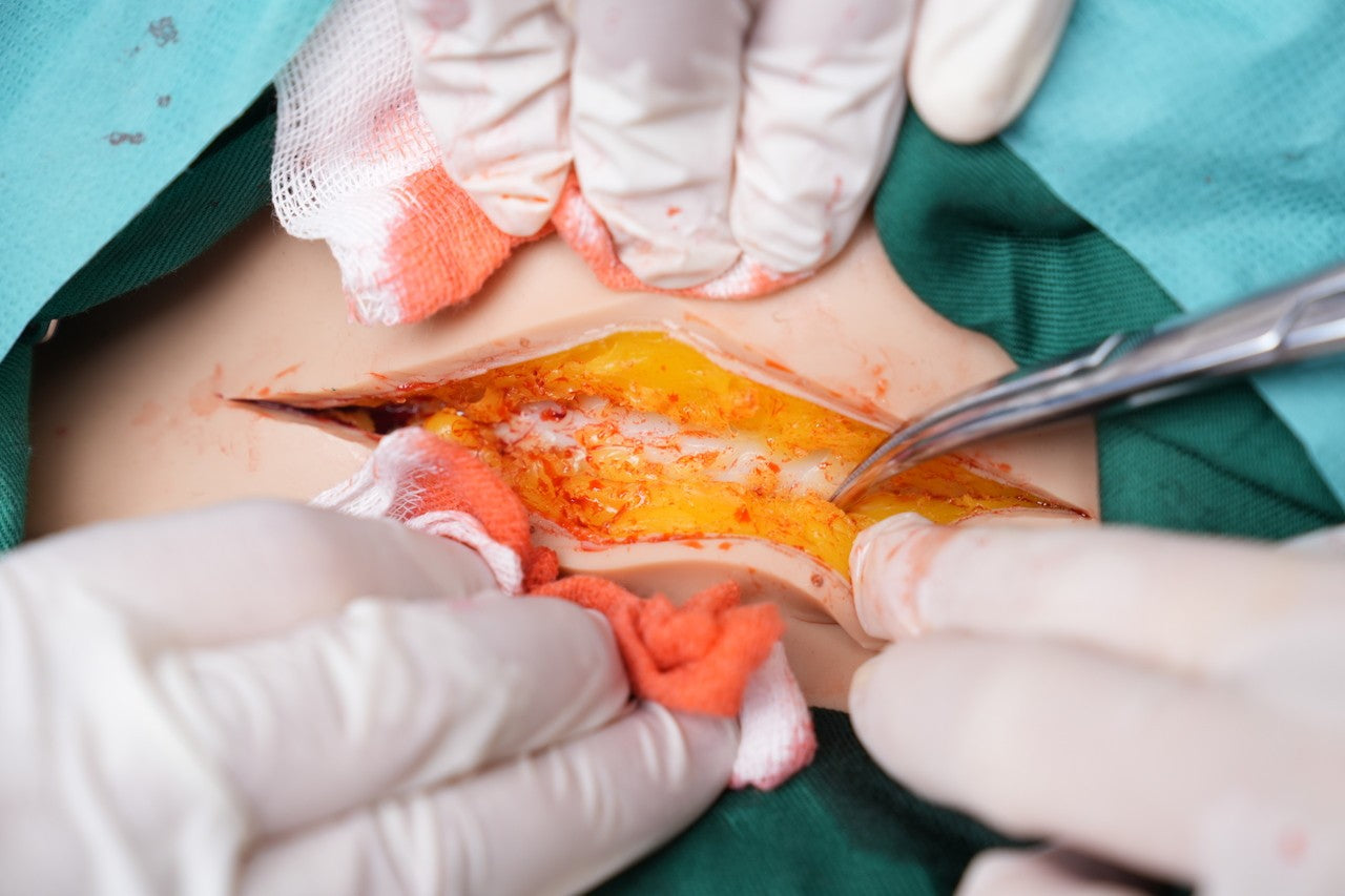 The Anatomy Lab-A-112549 Wearable C-Section Simulator, 1/ea