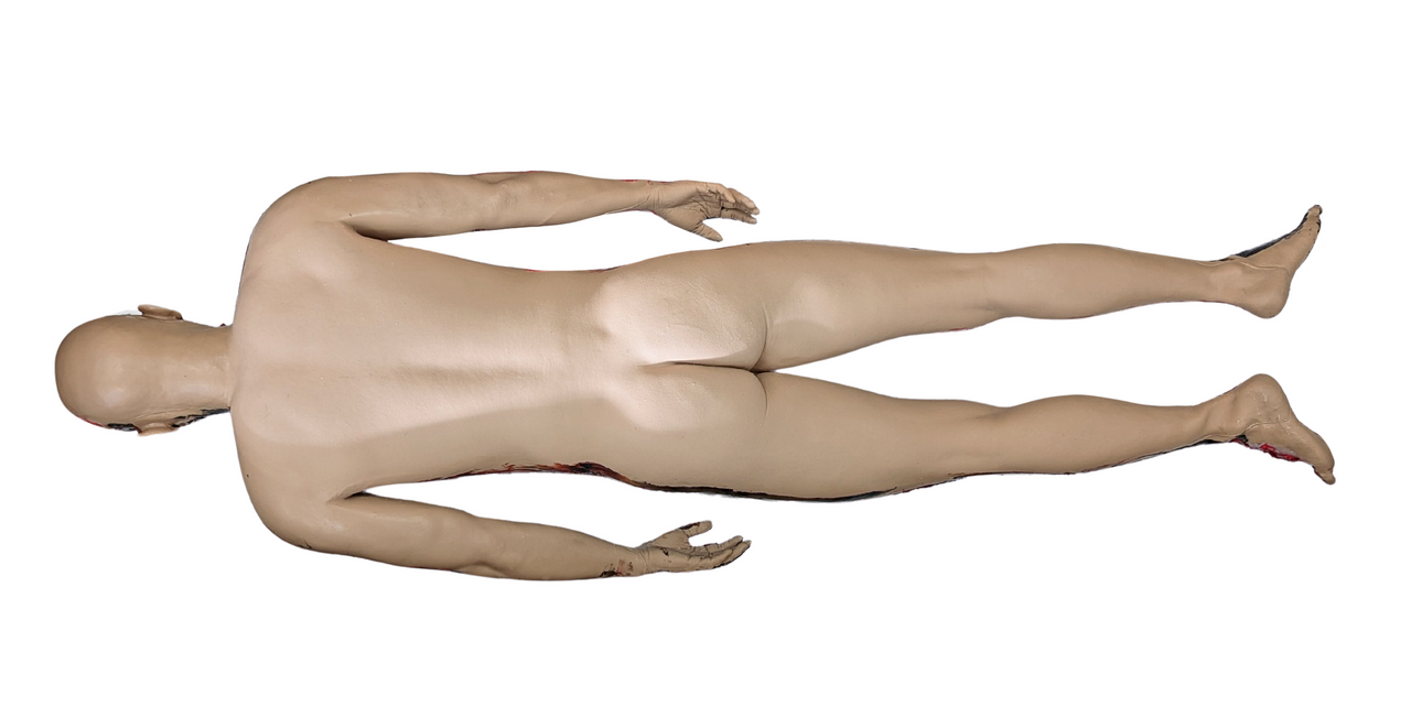 The Anatomy Lab-A-112555 Full-Body Burn Assessment Manikin, EACH
