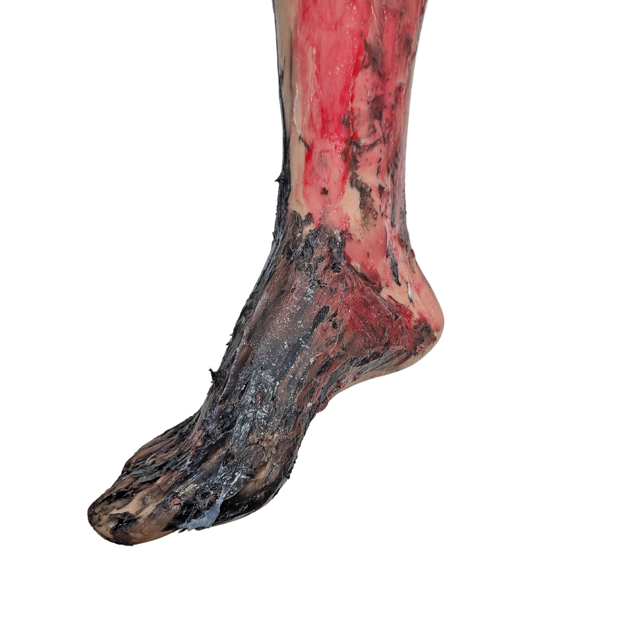 The Anatomy Lab-A-112555 Full-Body Burn Assessment Manikin, EACH