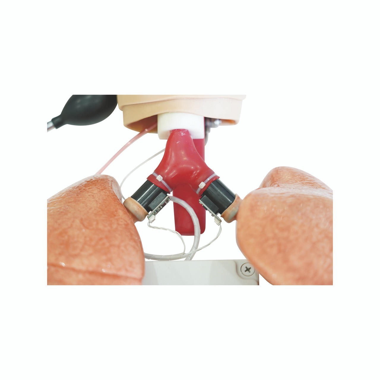 The Anatomy Lab-A-112557 Comprehensive Airway Management Model, EACH