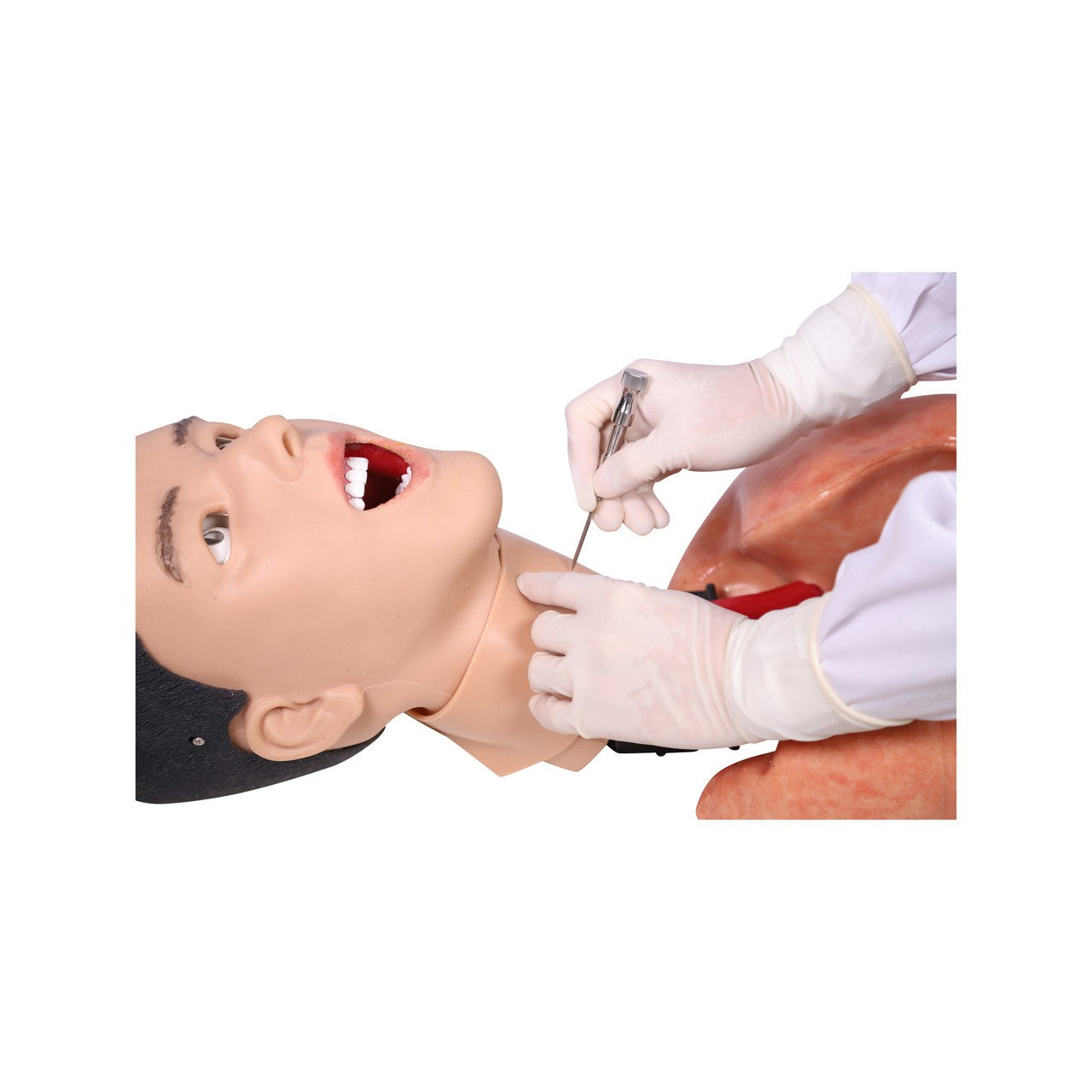 The Anatomy Lab-A-112557 Comprehensive Airway Management Model, EACH