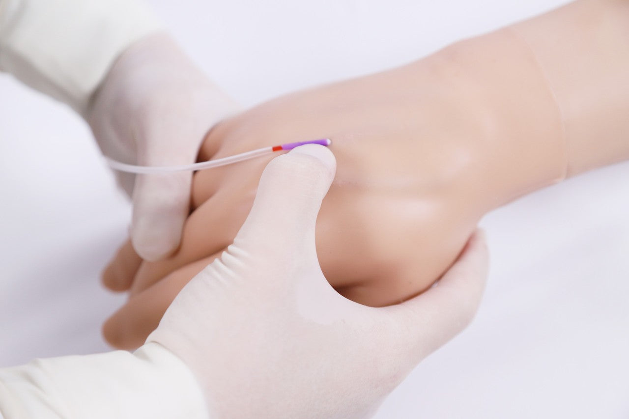 The Anatomy Lab-A-112558 Advanced IV Training Arm, EACH