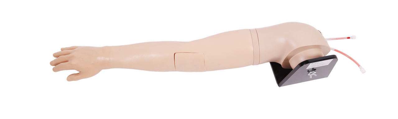 The Anatomy Lab-A-112558 Advanced IV Training Arm, EACH