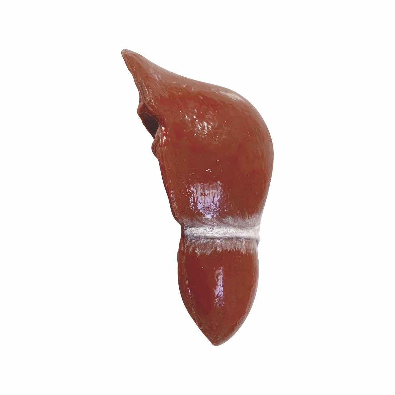 The Anatomy Lab-A-112566 Wearable Thoracoabdominal Surgical Operation Suit, EACH