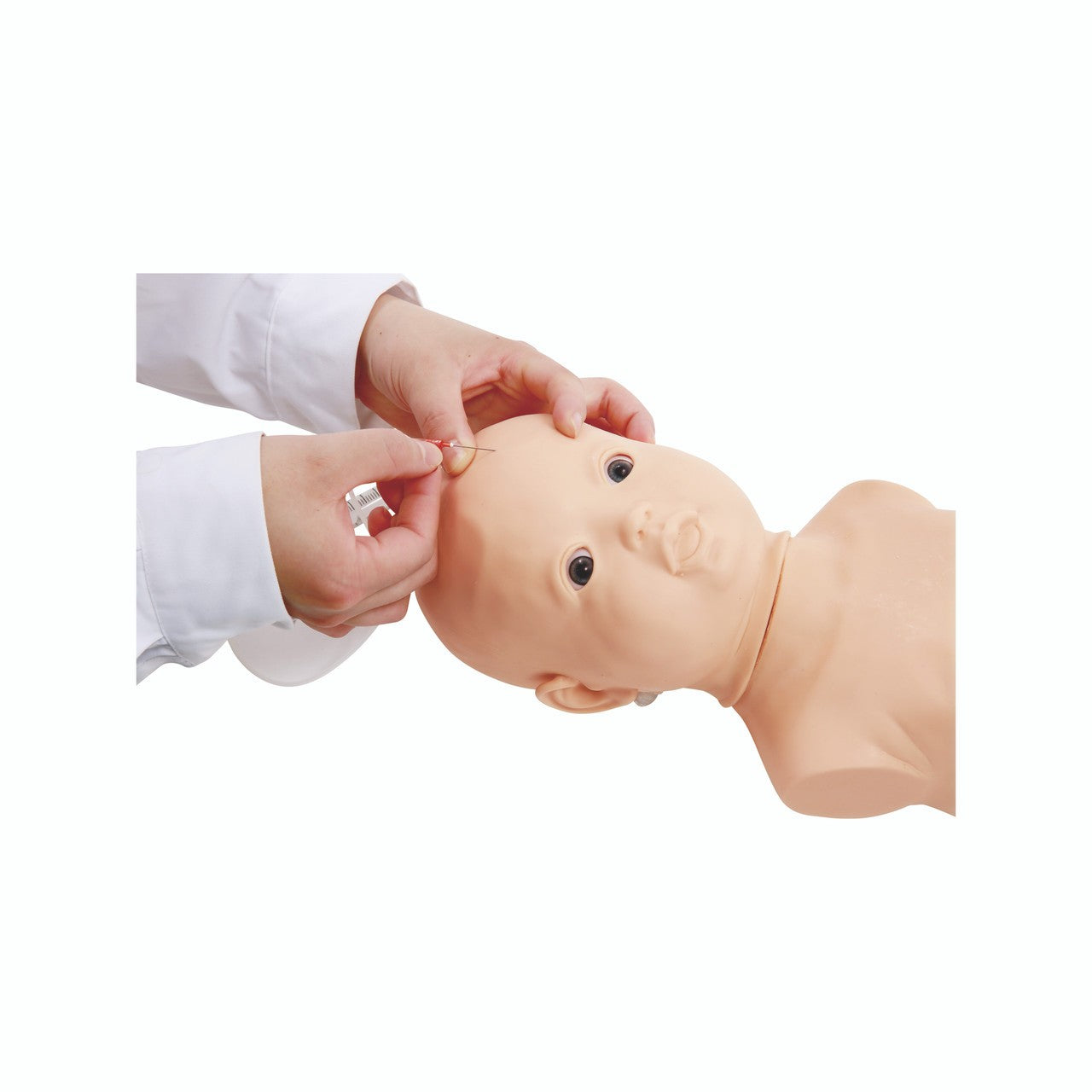 The Anatomy Lab-A-112568 Infant Scalp Puncture Model, EACH