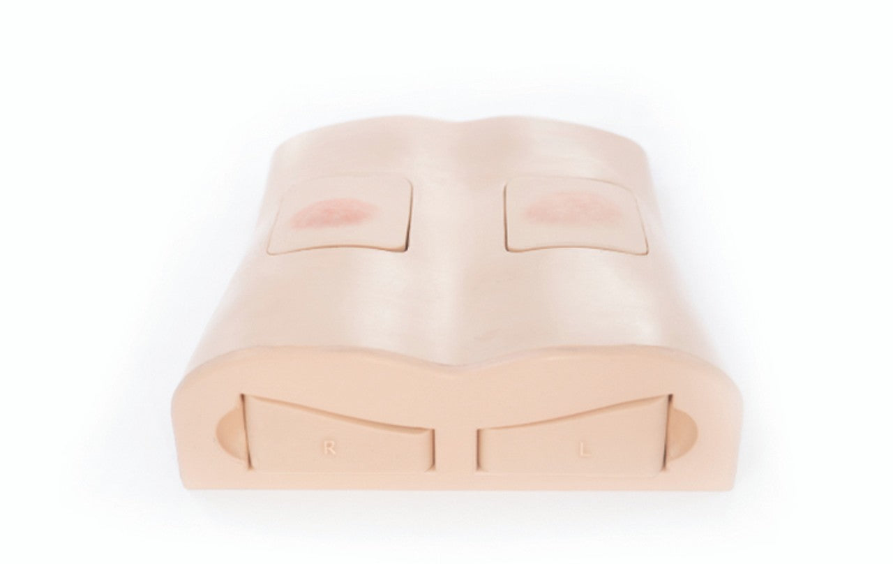 The Anatomy Lab-A-112570 Abscess Drainage Ultrasound Trainer, EACH