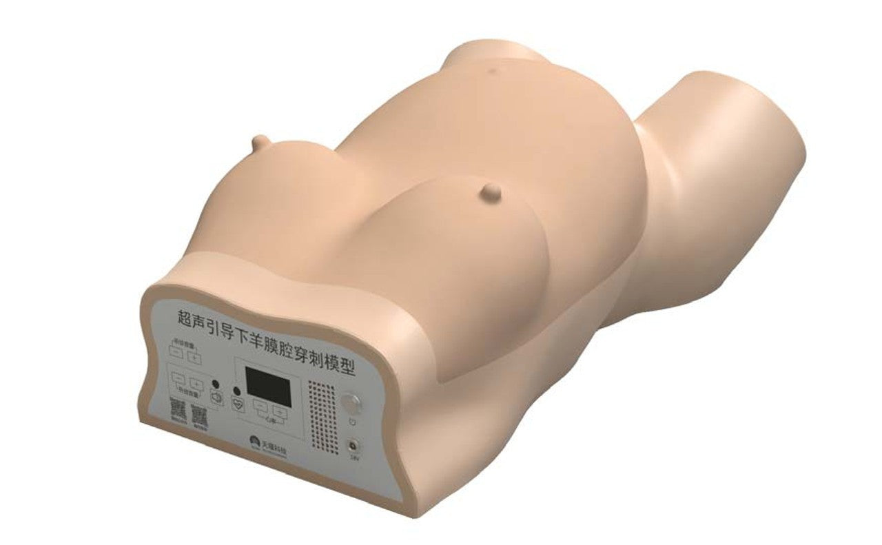 The Anatomy Lab-A-112571 Amniocentesis Ultrasound Trainer, EACH