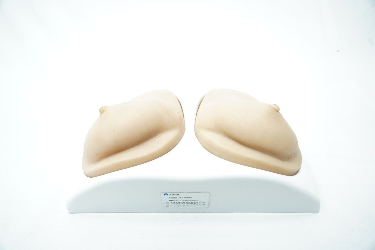 The Anatomy Lab-A-112572 Breast Ultrasound Examination Model, 1/ea