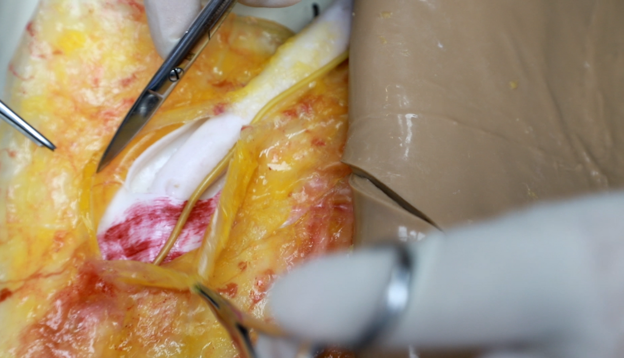 The Anatomy Lab-A-112575 Wearable Groin Surgical Training Suit, EACH