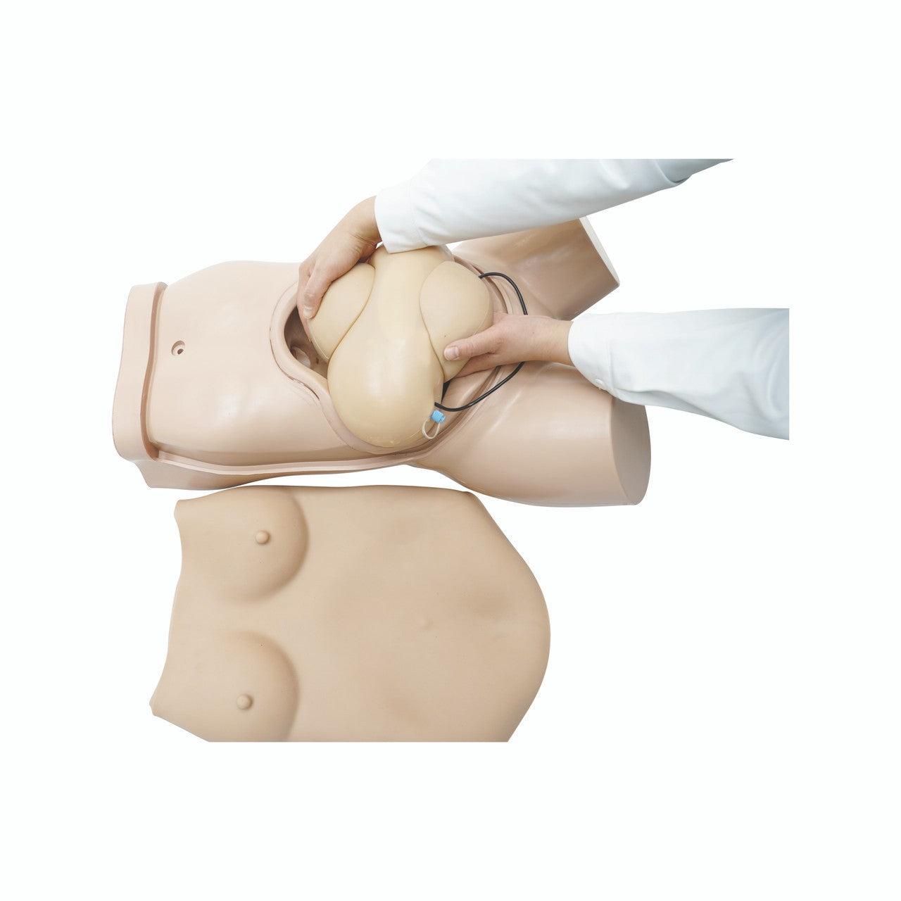 The Anatomy Lab-A-112577 Obstetric Examination Trainer Torso, 1/ea