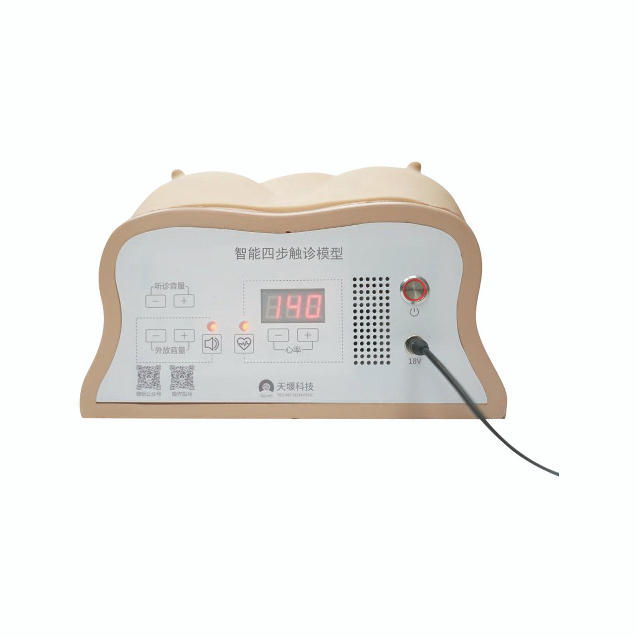 The Anatomy Lab-A-112577 Obstetric Examination Trainer Torso, 1/ea